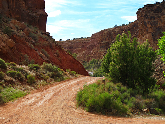 Photo of New Mexico